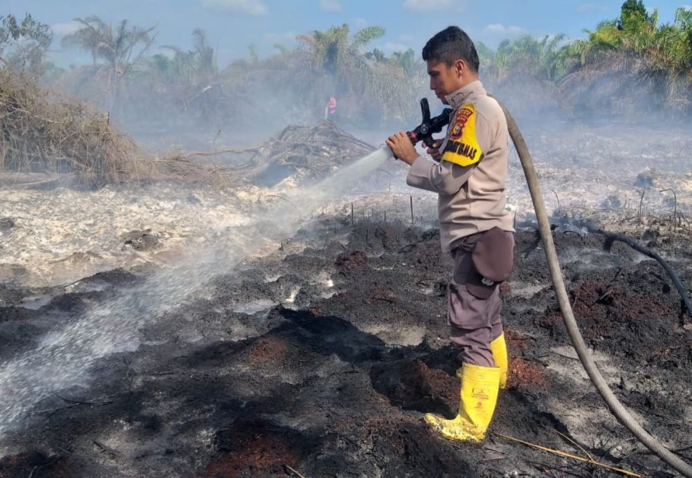 Ilustrasi BMKG mencatat 207 hotspot terdeteksi di Riau (foto/int)